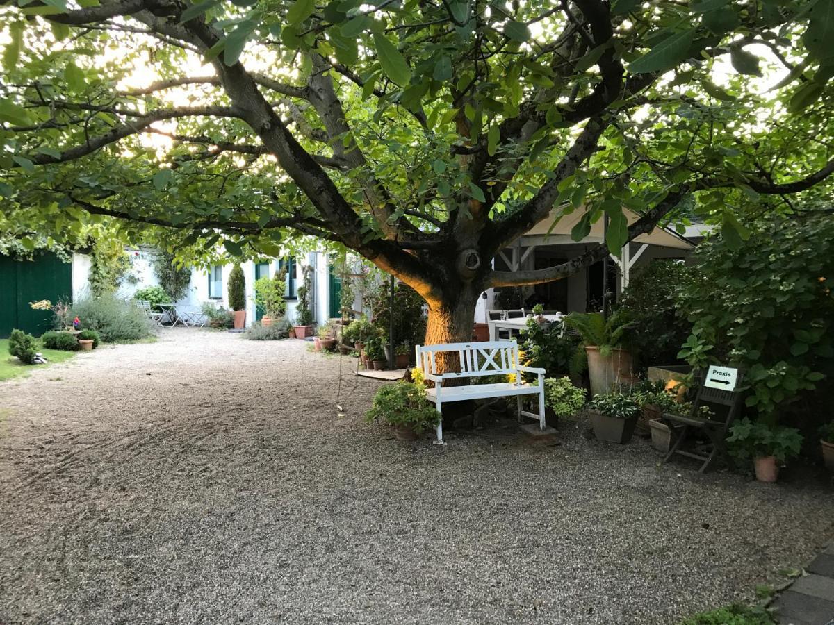 Ferien- Und Messewohnung In Meerbusch Exterior foto